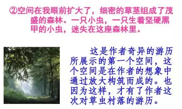 媛媛妈教语文：六年级语文上册第一单元知识点复习