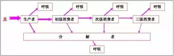 高中生物13大重要规律和公式，暑假好好背！