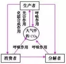 高中生物13大重要规律和公式，暑假好好背！