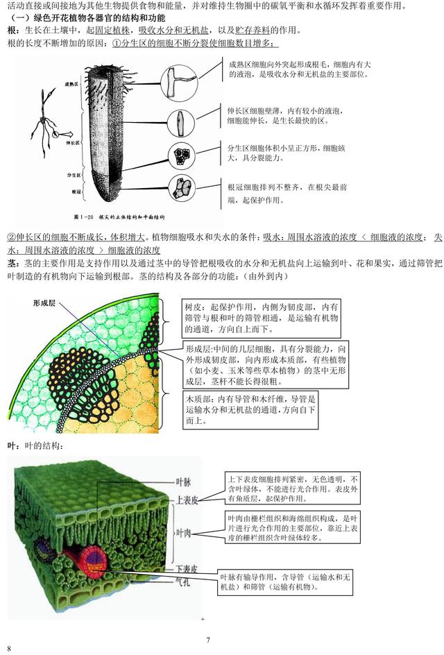 初中生物老师熬夜整理：初中生物重点知识大全！暑假必须背完！