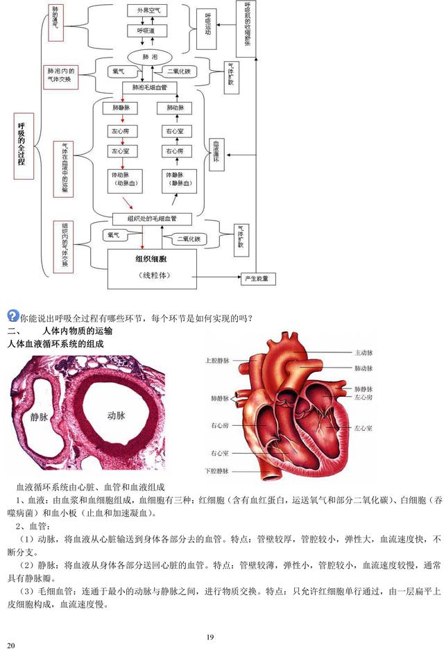 初中生物老师熬夜整理：初中生物重点知识大全！暑假必须背完！