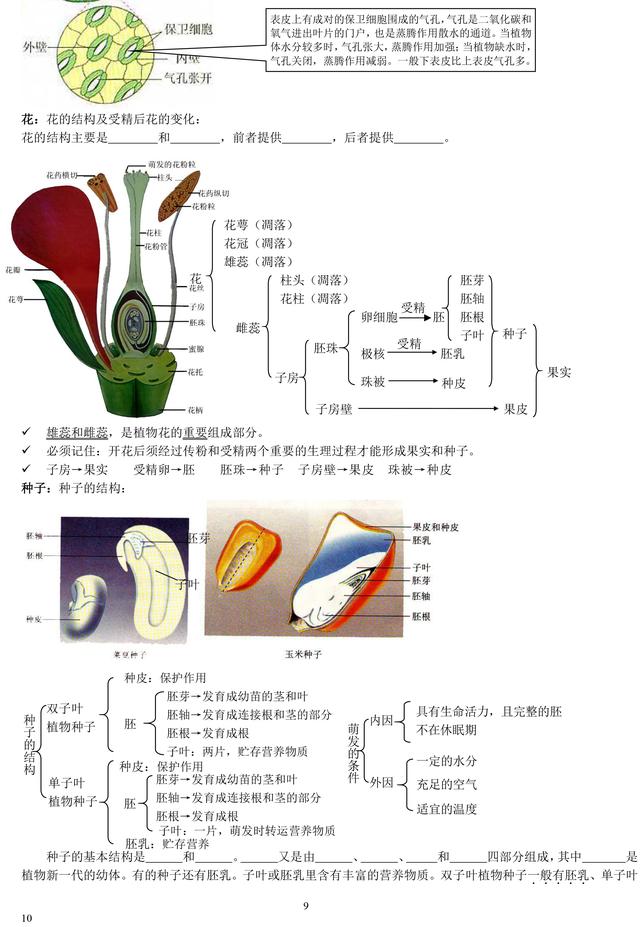 初中生物老师熬夜整理：初中生物重点知识大全！暑假必须背完！