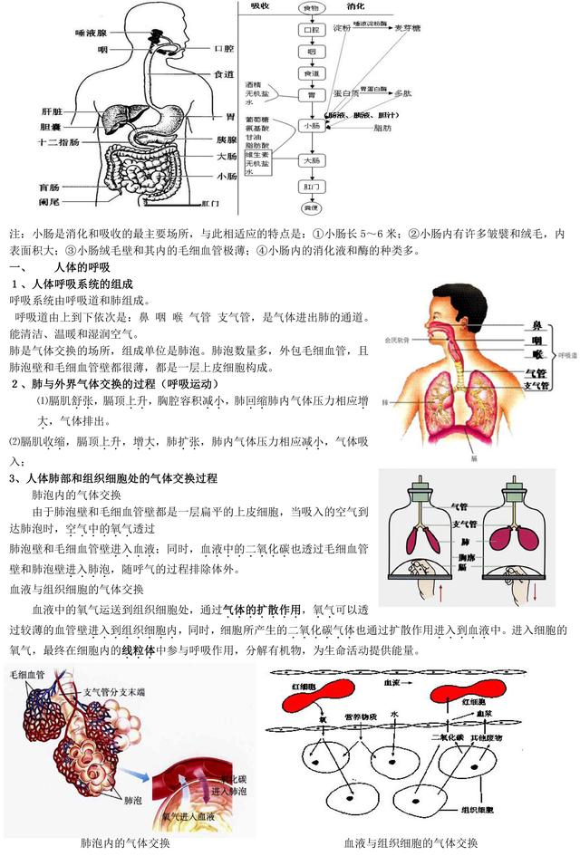 初中生物老师熬夜整理：初中生物重点知识大全！暑假必须背完！