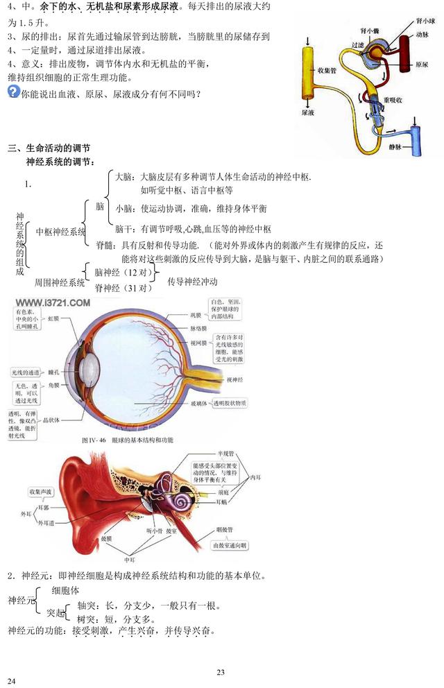 初中生物老师熬夜整理：初中生物重点知识大全！暑假必须背完！