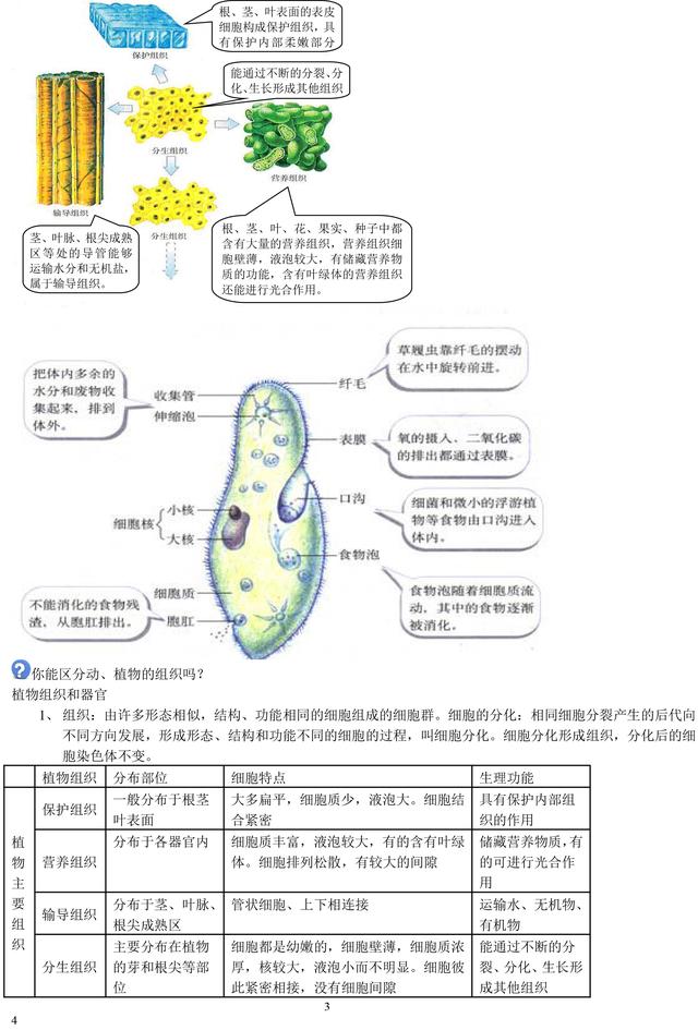 初中生物老师熬夜整理：初中生物重点知识大全！暑假必须背完！