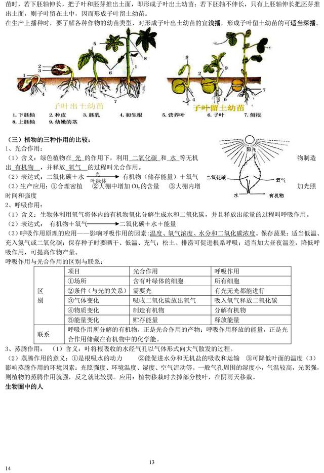 初中生物老师熬夜整理：初中生物重点知识大全！暑假必须背完！