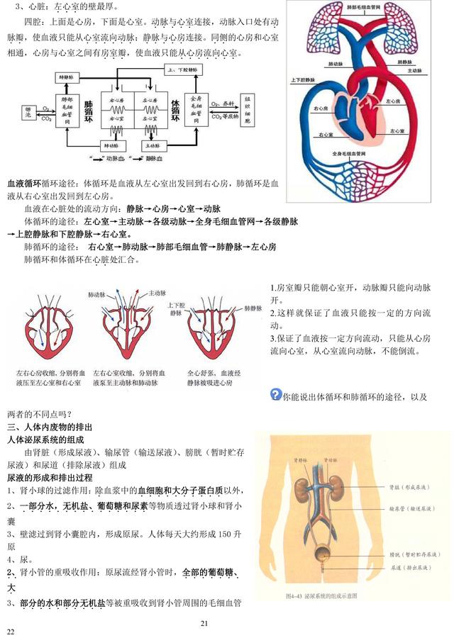 初中生物老师熬夜整理：初中生物重点知识大全！暑假必须背完！