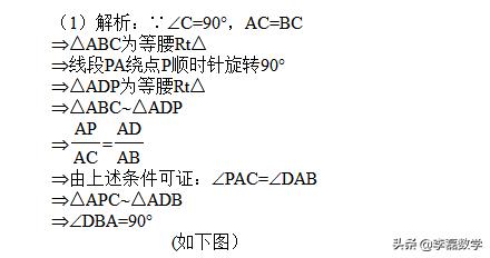 中考压轴专题丨利用旋转相似特性，巧求角度问题,方法很赞！