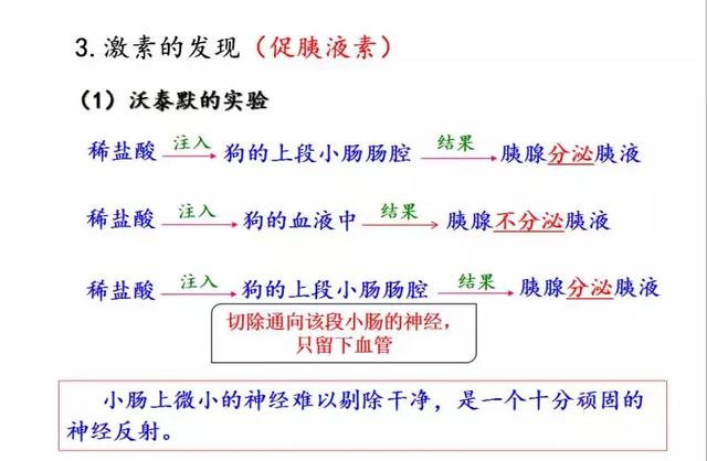 实用干货丨高中生物必修三图解课件