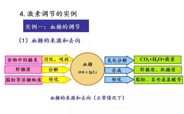 实用干货丨高中生物必修三图解课件