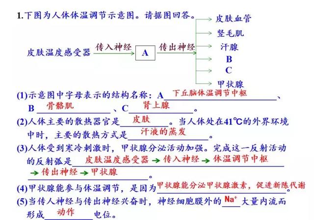 实用干货丨高中生物必修三图解课件