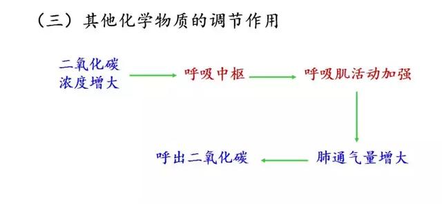 实用干货丨高中生物必修三图解课件