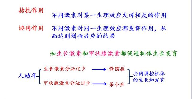 实用干货丨高中生物必修三图解课件