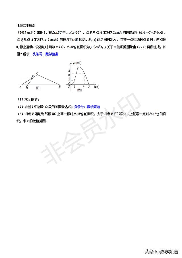 初中数学15个专题-（十三）图形面积类问题