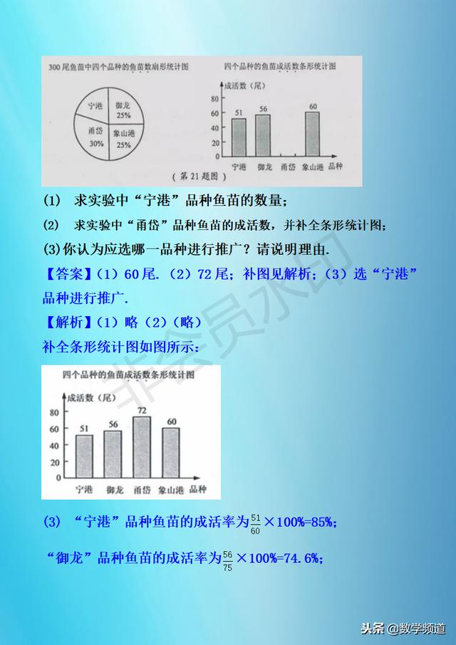 初中数学-黄金知识点-（十九）统计的应用