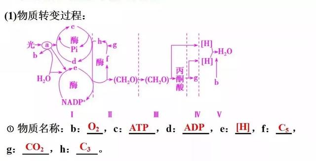 高中「物化生」必考题型&解题模板，让你答题准确率猛窜！