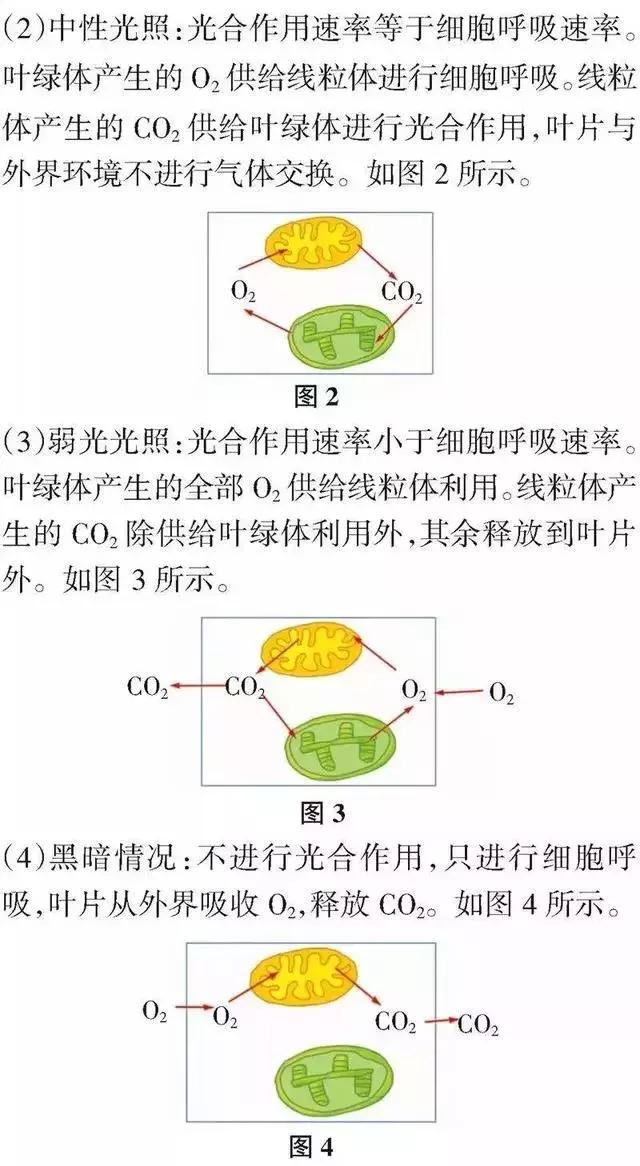 高中「物化生」必考题型&解题模板，让你答题准确率猛窜！