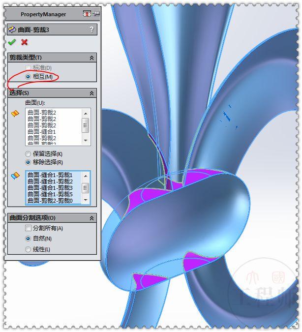 SolidWorks曲面画的鸢尾图形，这个图有点难，初学者估计画不出来