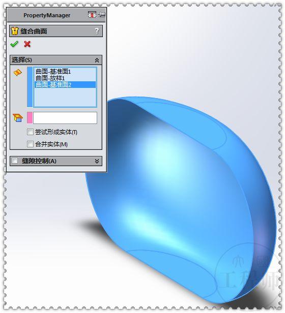 SolidWorks曲面画的鸢尾图形，这个图有点难，初学者估计画不出来