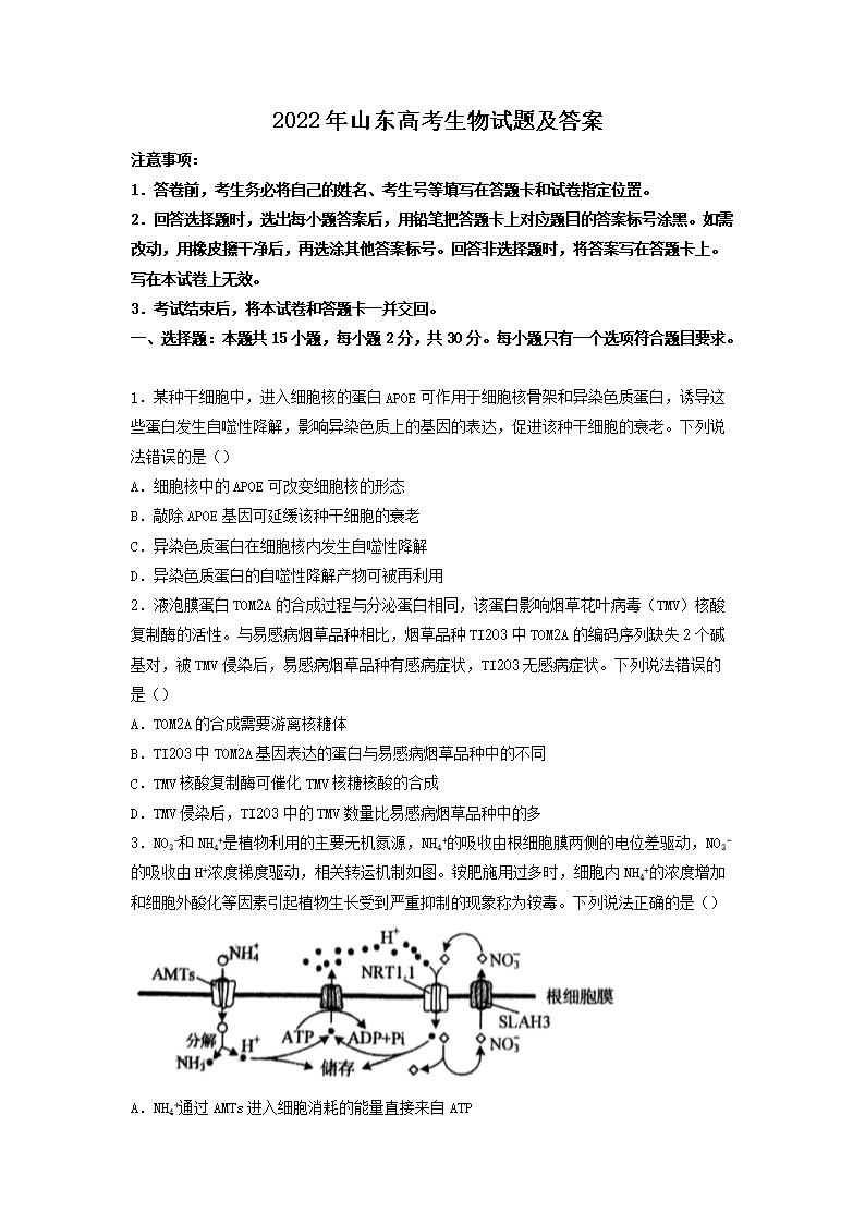 2022年山东高考生物试题及答案(Word版)