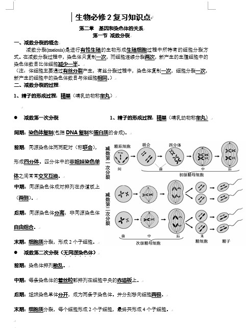 高中生物必修二知识点总结(精华版)