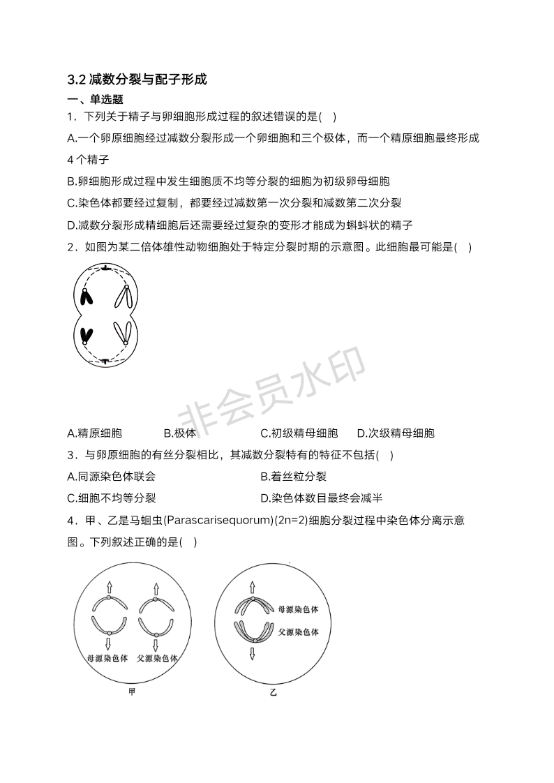 3.2 减数分裂与配子形成-2024--2025学年高一下学期生物学北师大版（2019）必修二