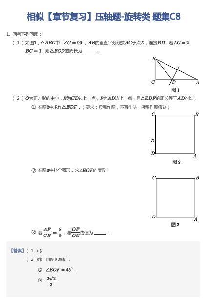 相似【章节复习】压轴题-旋转类 题集C8