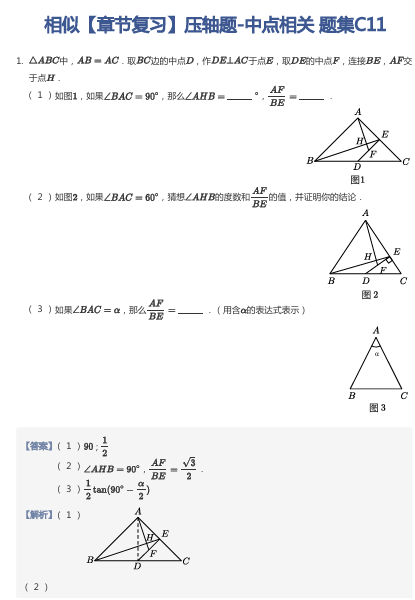 相似【章节复习】压轴题-中点相关 题集C11