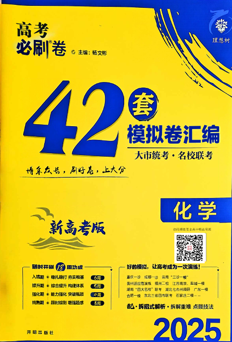 2025版高考必刷卷化学新高考版OK