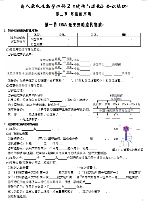 第3章 基因的本质-【必背知识】高一生物章节知识清单（人教版必修2）（填空版） 